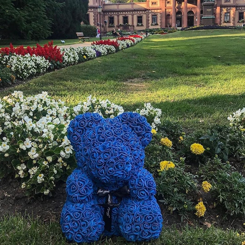 Teddy Bear Rose Art Flower