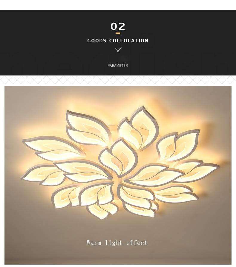 LED Ceiling Lamp