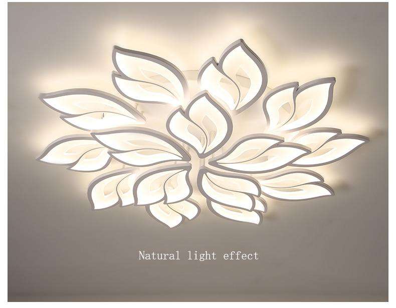 LED Ceiling Lamp