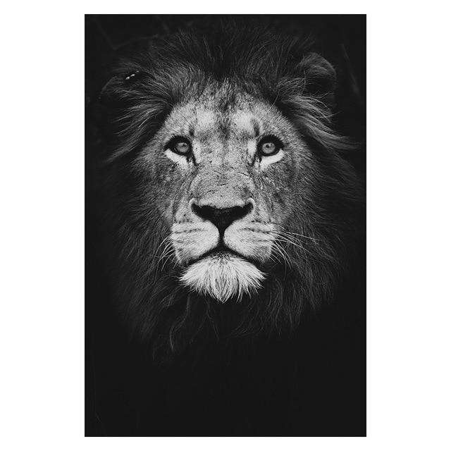 High Quality Animal Wall Art Posters