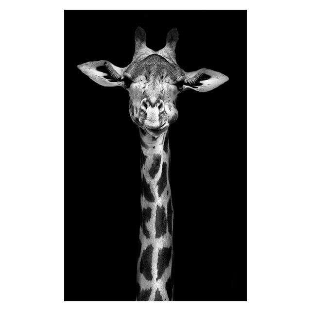 High Quality Animal Wall Art Posters