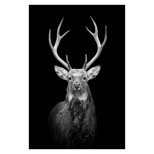 High Quality Animal Wall Art Posters