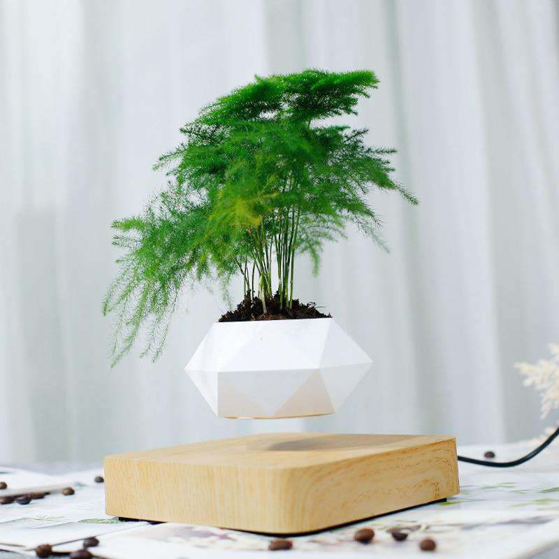 Floating Plant Pot