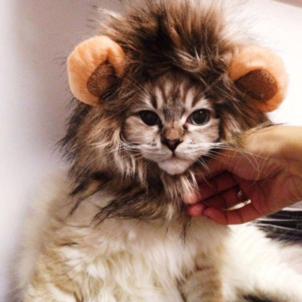 Funny Cute Pet Cat Costume Lion
